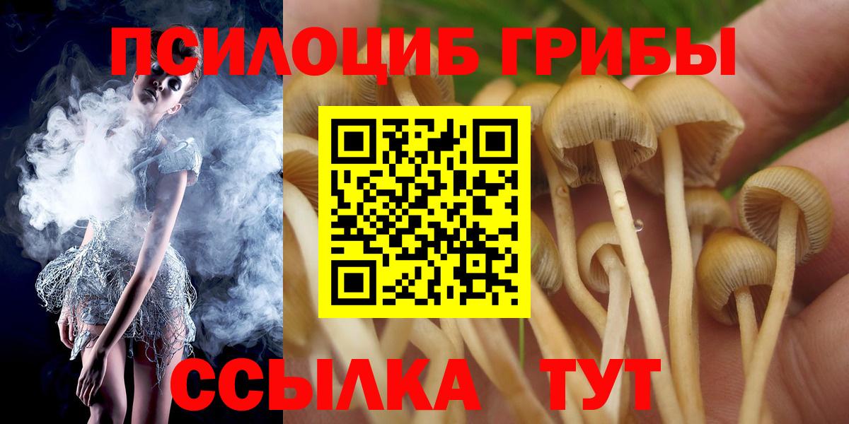 Галлюциногенные грибы Psilocybe  Вход с VPN  Димитровград 