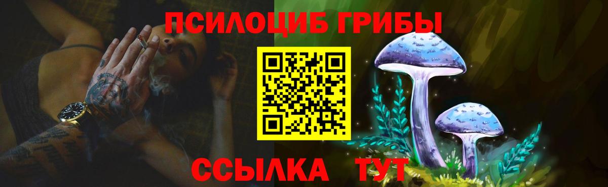 Псилоцибиновые грибы ЛСД Димитровград
